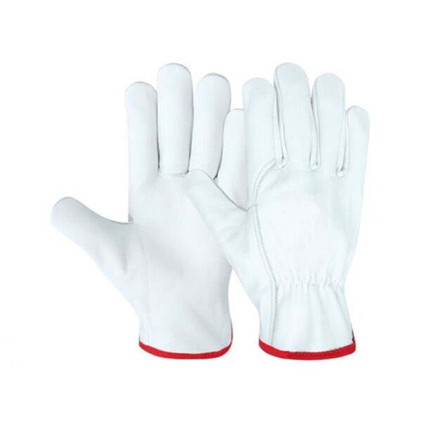 Driver Glove, Made of Goat Leather